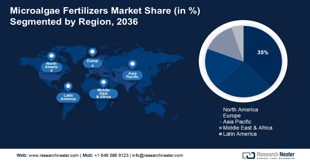 Microalgae Fertilizers Market size-min