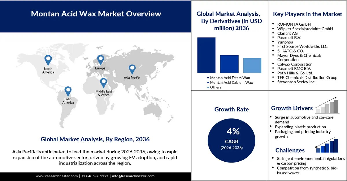 Montan Acid Wax Market Size
