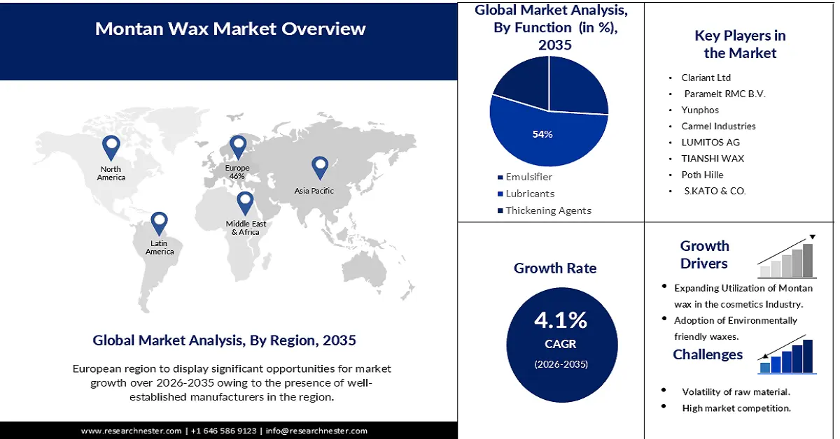 Montan Wax Market Size