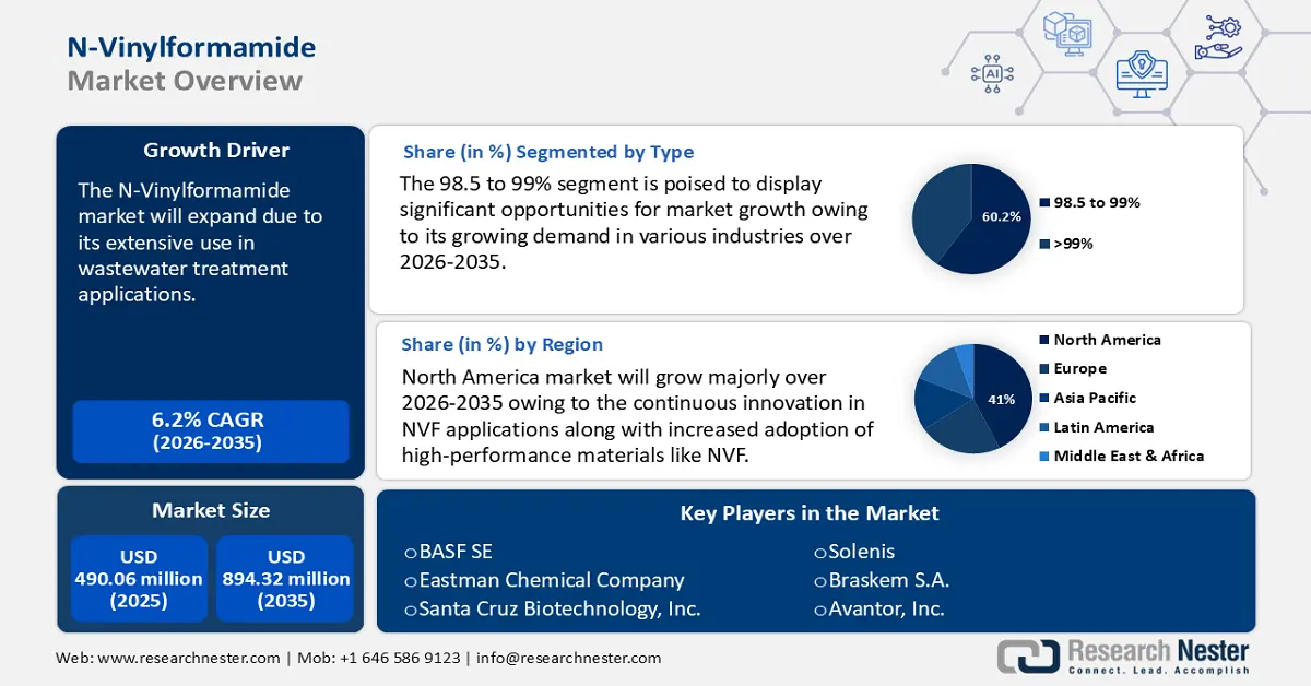 N-Vinylformamide Market Size