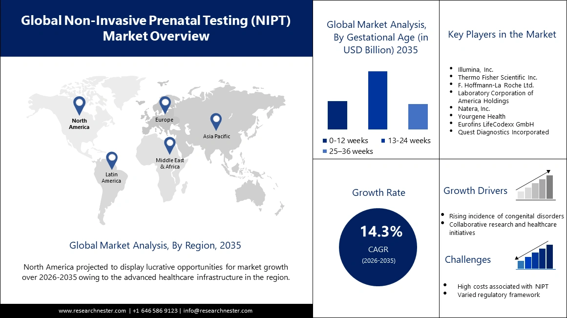 Non Invasive Prenatal Testing Market Overview