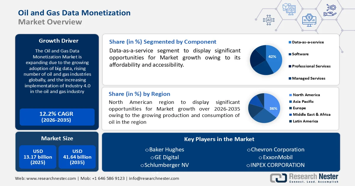 oil-gas-data-monetization-market-Size