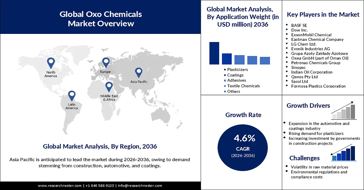 Oxo Chemicals Market Size