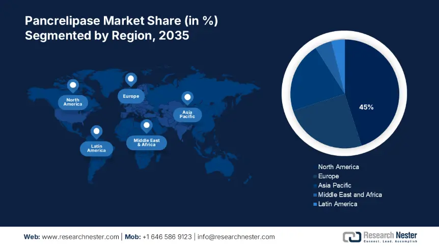 Pancrelipase Market Share