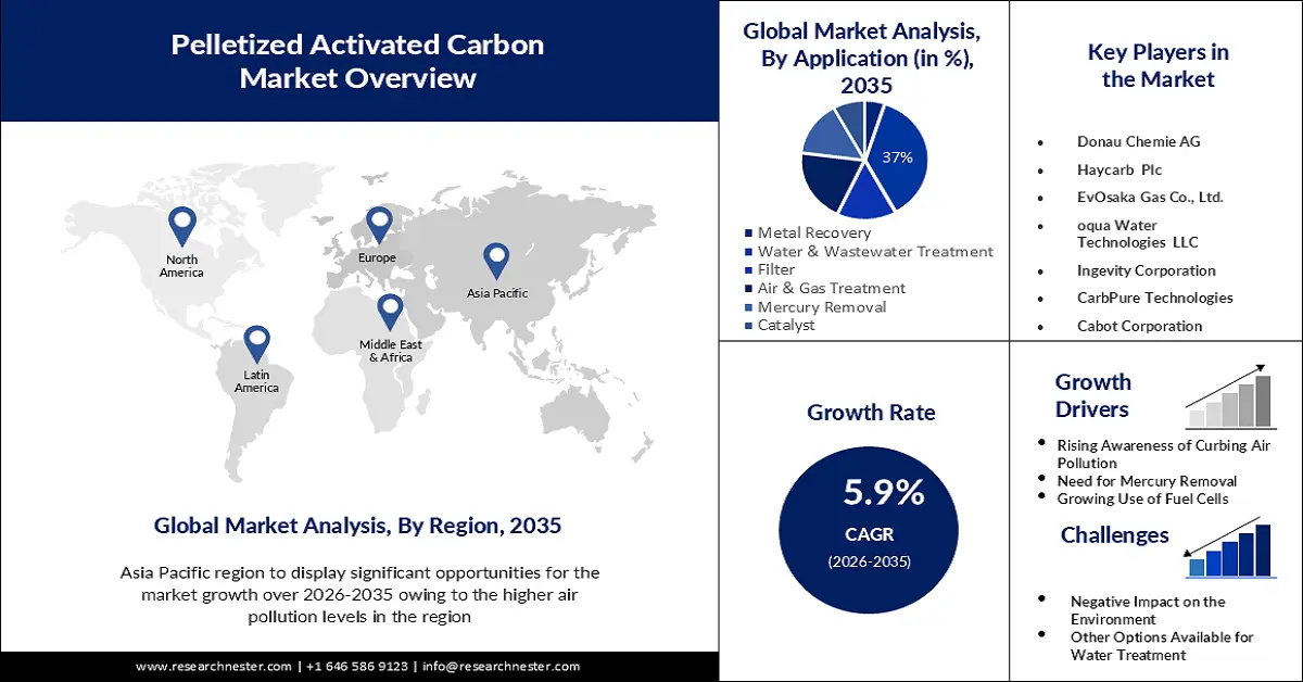 Pelletized Activated Carbon Market Size