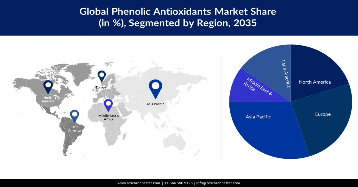 Phenolic Antioxidants Market Share
