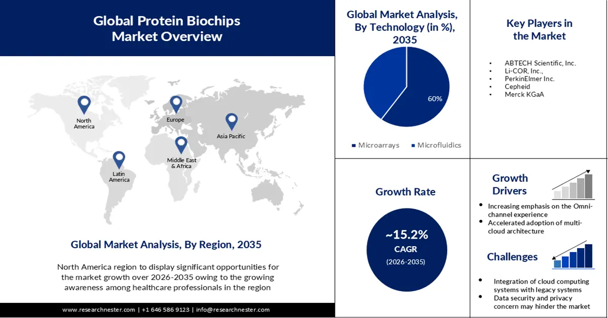 Protein Biochips Market Size