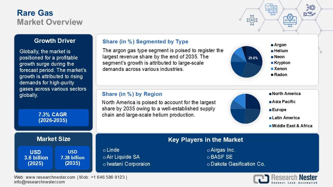 Rare Gas Market Share