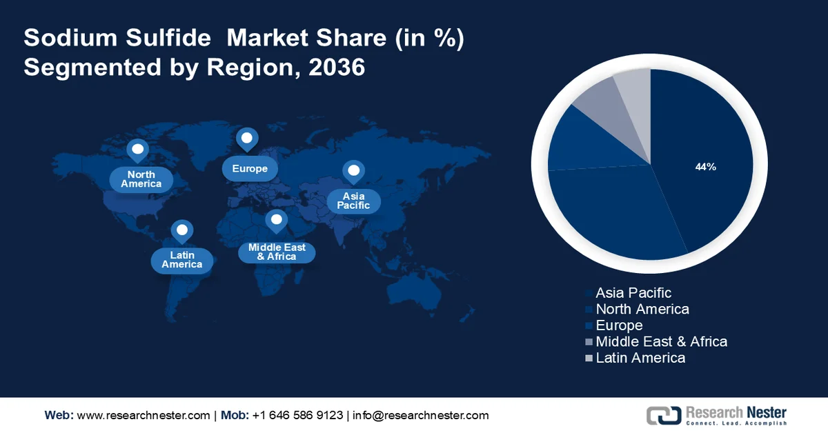 Sodium Sulfide Market Share