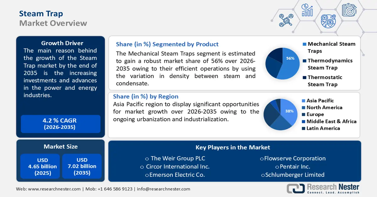 Steam Trap Market Size
