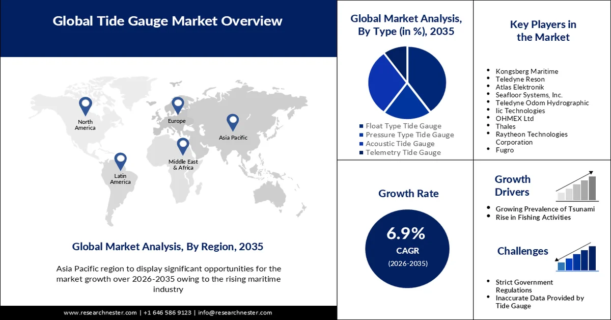 Tide Gauge Market overview