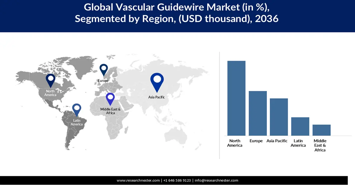 Vascular Guidewires Market Share
